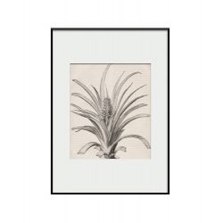 Интерьерный постер “Pineapple”