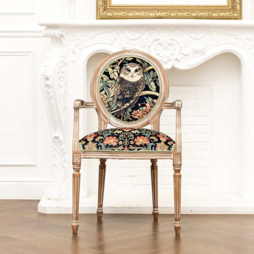 Кресло (стул с подлокотниками) «Бал сказок. Сова»