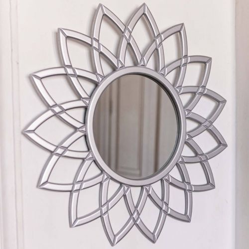 Зеркало Shiny Silver