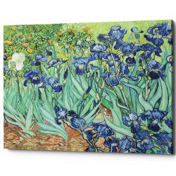 Картина «Ирисы» (холст, галерейная натяжка)