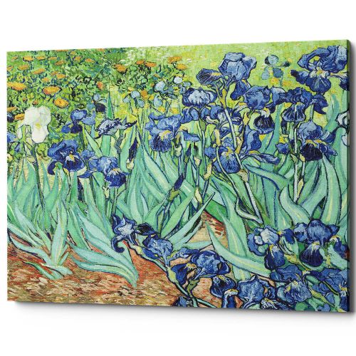 Картина «Ирисы» (холст, галерейная натяжка)