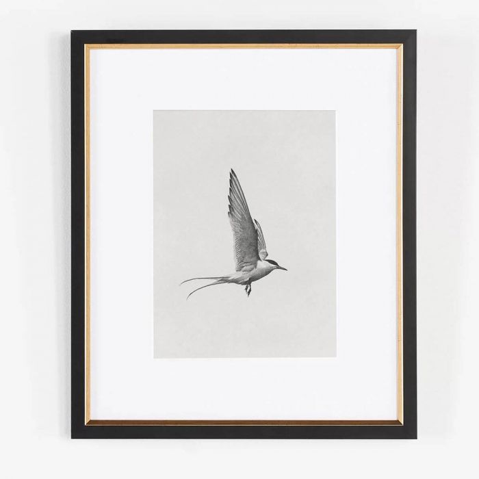 Прямоугольный постер “Flight II”