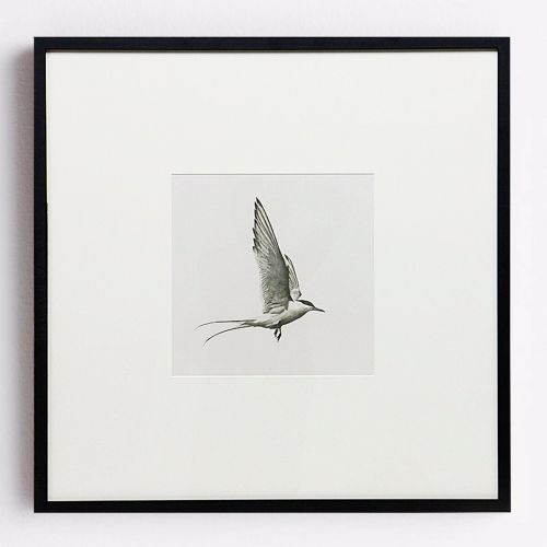 Квадратный постер “Flight”