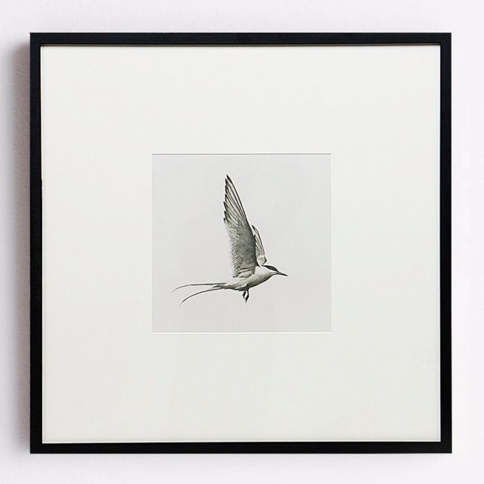 Квадратный постер “Flight”