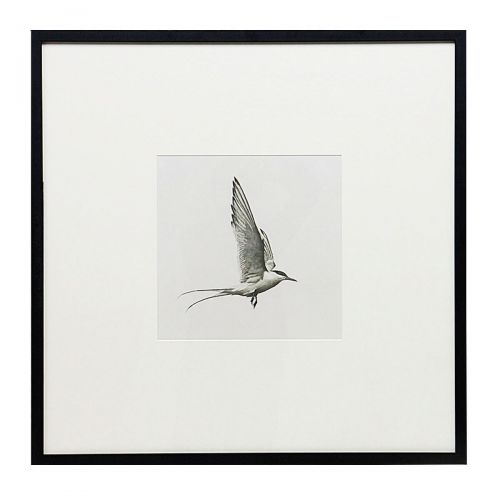 Квадратный постер “Flight”