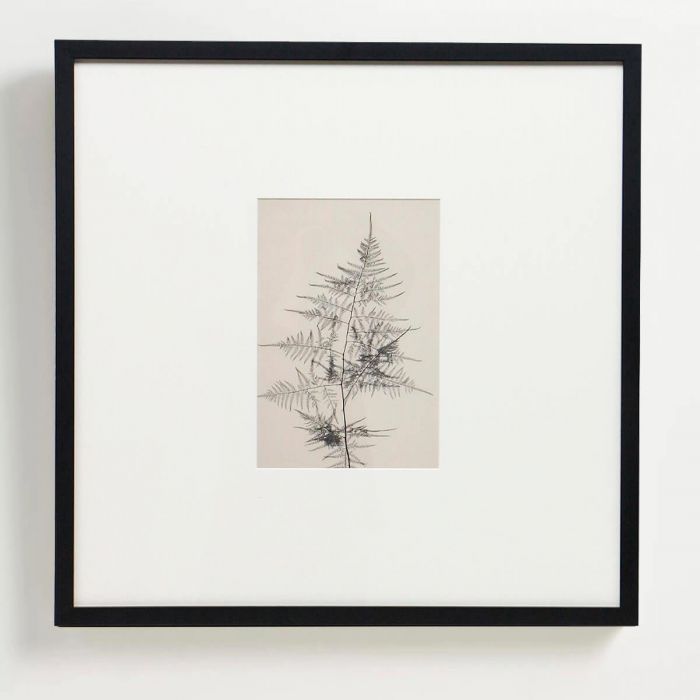 Интерьерный постер “Floral – IV”