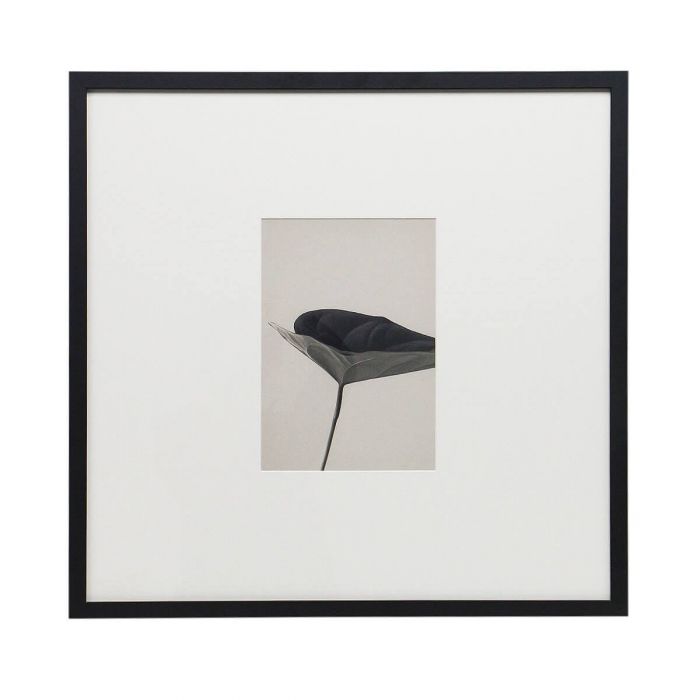 Интерьерный постер “Floral – I”