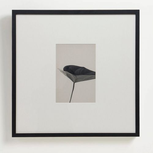 Интерьерный постер “Floral – I”