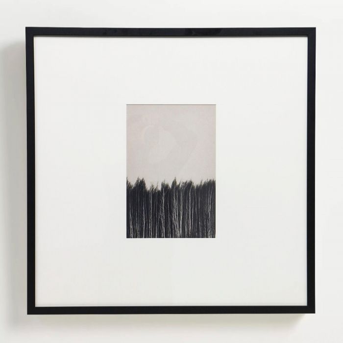 Интерьерный постер “Forest”