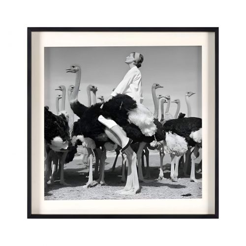 Квадратный постер “Wenda & Ostriches”