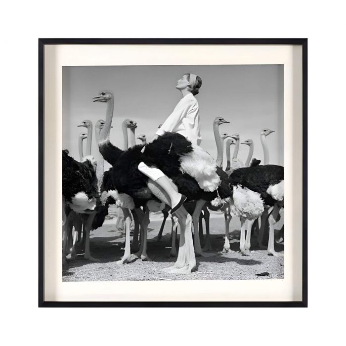 Квадратный постер “Wenda & Ostriches”