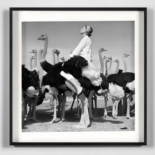 Квадратный постер “Wenda &amp; Ostriches”