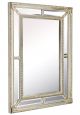 Зеркало в раме Albert Silver