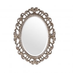 Зеркало в раме Daisy Silver