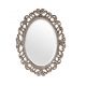 Зеркало в раме Daisy Silver