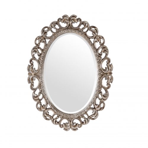 Зеркало в раме Daisy Silver