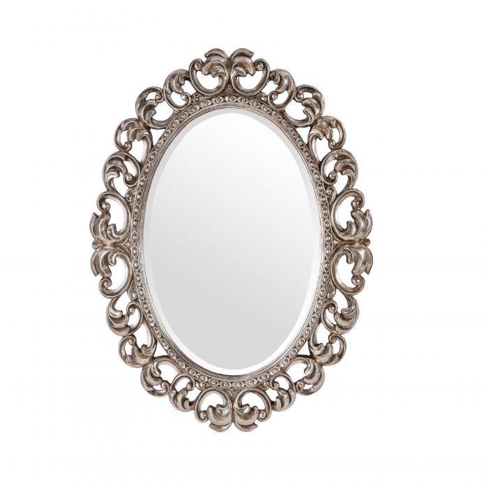Зеркало в раме Daisy Silver