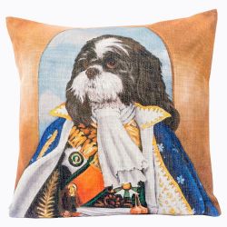 Арт-подушка «Музейный экспонат», версия 37 
