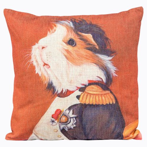 АртАрт-подушка «Музейный экспонат», версия 47-подушка «Музейный экспонат», версия 45 