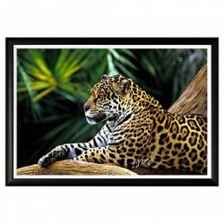 Арт-постер «Индийский леопард»