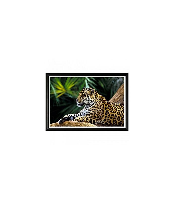 Арт-постер «Индийский леопард»