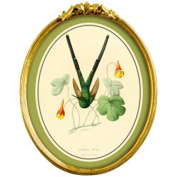 Картина на холсте «Жемчужины природы», версия 8