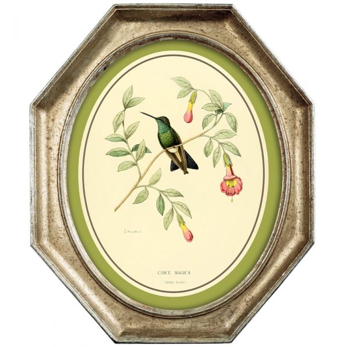 Картина «Жемчужины природы», версия 10, в раме «Эдита»