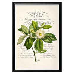 Арт-постер «Неотразимое очарование», версия 9