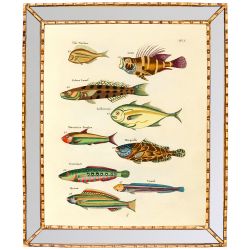 Картина «Фантастика подводного мира» в раме «Аксель» L (том 1, версия 6)