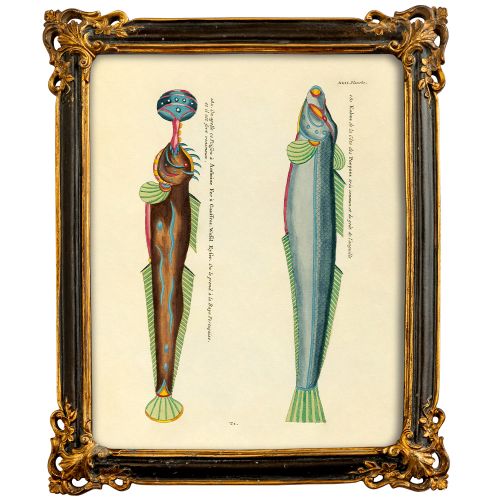 Картина «Фантастика подводного мира» в раме «Селин» (том 2, версия 42)