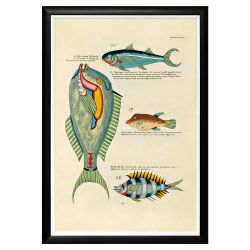 Арт-постер «Фантастика подводного мира» (том 2, версия 12)