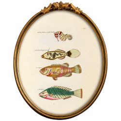 Картина «Фантастика подводного мира» в раме «Тиффани» (том 1, версия 11)