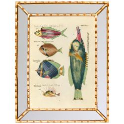 Картина «Фантастика подводного мира» в раме «Аксель» S (том 2, версия 22)