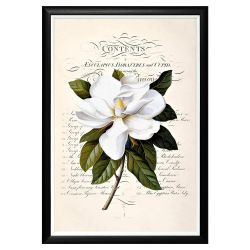 Арт-постер «Неотразимое очарование», версия 8