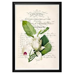 Арт-постер «Неотразимое очарование», версия 1