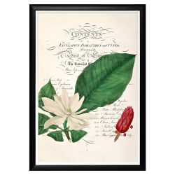 Арт-постер «Неотразимое очарование», версия 3