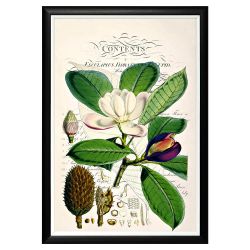 Арт-постер «Неотразимое очарование», версия 4