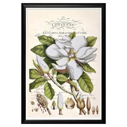 Арт-постер «Неотразимое очарование», версия 4