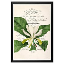 Арт-постер «Неотразимое очарование», версия 2