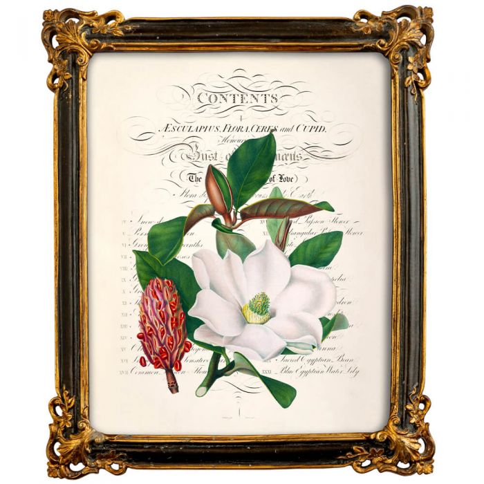 Картина «Порхающий цветок», версия 3, в раме «Селин»